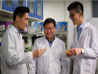 祝贺！药明康德生命化学成就奖获得者元英进教授当选中国科学院院士