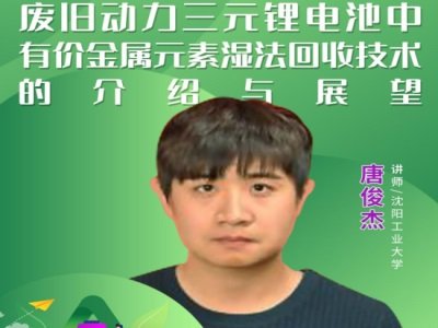 废旧动力三元锂电池中有价金属元素湿法回收技术的进展