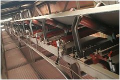 高精度序列式电子皮带秤的图片