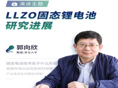 青岛大学郭向欣教授:LLZO固态锂电池研究进展