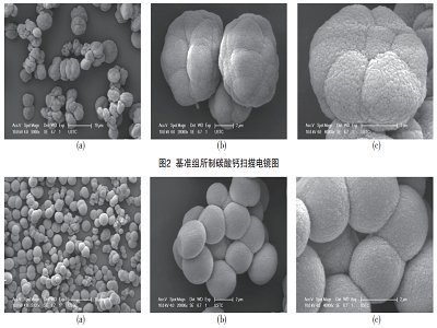 碳酸钙形貌控制“方、圆、片、针、花、链”怎么能“随变”来呢？