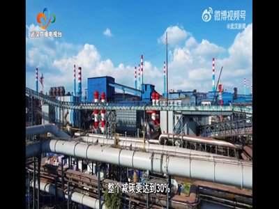 武钢牵头、9家单位抱团发力！打造湖北首个技术创新联合体