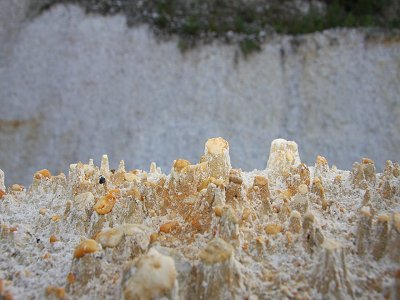 与产业同新丨2021粉体产业大盘点 高岭土