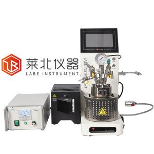 莱北BS系列磁子搅拌高压反应釜的图片