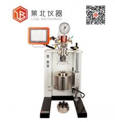 LB250 台式固定头机械搅拌反应釜的图片