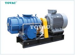 罗茨真空泵的图片