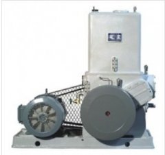 H滑阀式真空泵的图片