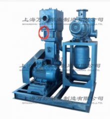 罗茨往复真空泵机组的图片