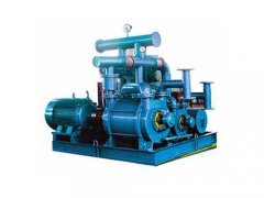 JZJ2S系列罗茨水环真空机组的图片