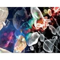 牛津仪器PECVD等离子体处理系统的图片