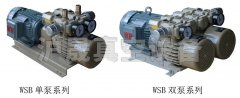 WSB无油旋片真空泵的图片