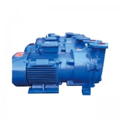 2BE1系列水环真空泵的图片