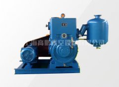 X-150B 真空泵的图片