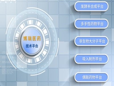 博瑞医药：吸入制剂等5大平台构筑高技术附加值药企，仿、创结合，向制剂领域拓展！