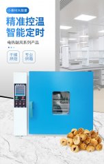 电热恒温鼓风干燥箱的图片