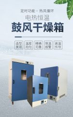 电热恒温鼓风干燥的图片