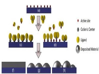 原子层沉积技术改善医用材料生物相容性