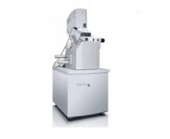 拉曼电镜联用系统的图片