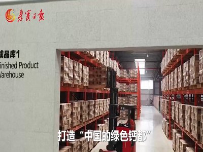 来宾市碳酸钙产业“吃足了”政府引导的“甜头”