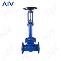 德标波纹管闸阀的图片