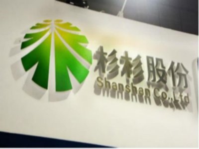 “抢滩”海外资本市场，负极龙头杉杉股份“冲刺”瑞士证券交易所