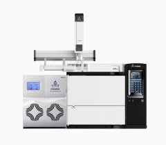 A91Plus-AMD10 气相色谱质谱联用仪的图片