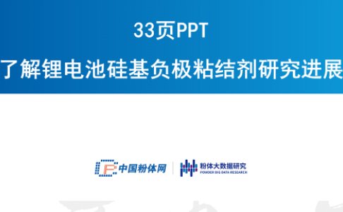 33页PPT了解锂电池硅基负极粘结剂研究进展