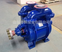 SK型水环真空泵.的图片