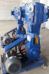 W,WY型往复式真空泵的图片