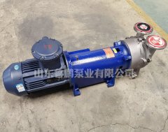 2BV系列水环真空泵的图片