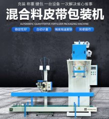 皮带定量包装机DCS-P-50的图片