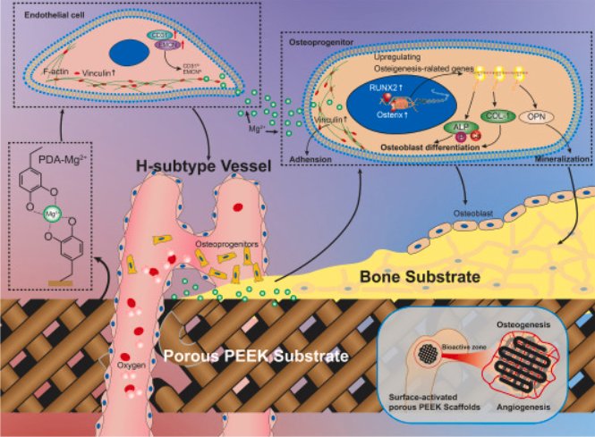 135154_571845_gsdt.png 135154_571845_gsdt.png