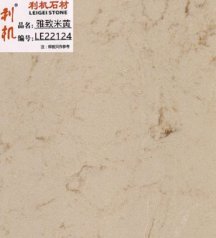 LE22124 雅致米黄的图片