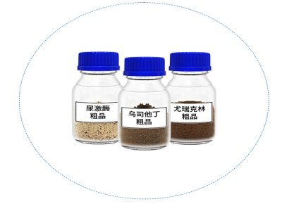 强强联合，艾迪药业携手南大药业巩固人源蛋白领域领先地位