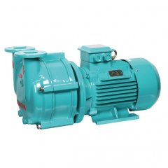 SZP系列泡塑设备真空泵的图片