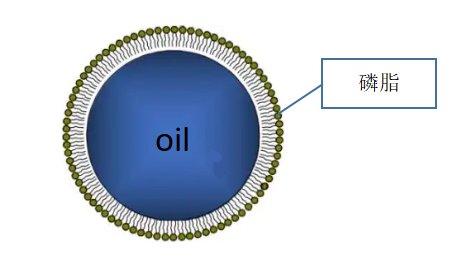 120528_525864_gsdt.png 微信图片_20220804120009.png