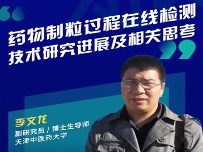 药物制粒工艺在线监测技术关键及研究进展