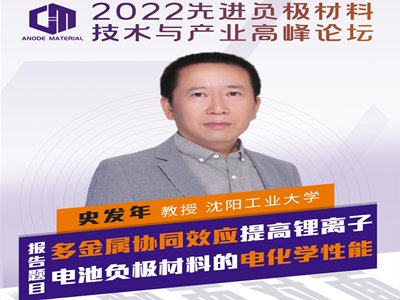 多金属协同效应提高锂离子电池负极材料的电化学性能
