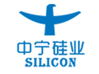 浙江中宁硅业有限公司邀您出席 先进负极材料技术与产业高峰论坛