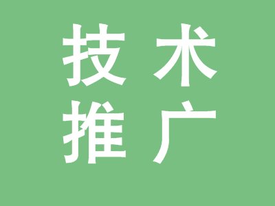 【自然资源部推广】石英矿产资源节约和综合利用先进适用技术