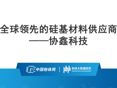 全球领先的硅基材料供应商——协鑫科技