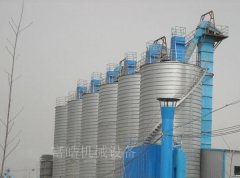 NE板链式斗式提升机的图片