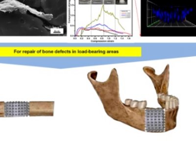 山东大学在3D打印石墨烯/生物陶瓷材料方面取得进展