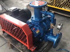 沼气增压罗茨鼓风机的图片