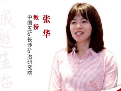 高压静电技术及石英提纯中的应用——专访中国五矿长沙矿冶研究院张华教授