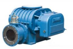 CTSR175型三叶罗茨鼓风机的图片