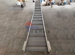 挡边式网带提升机的图片