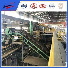 双箭-大倾角皮带机Y的图片