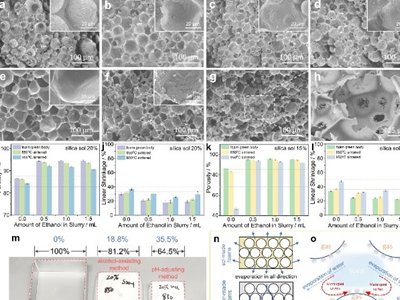 清华大学在发泡陶瓷领域取得进展