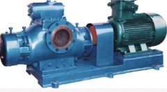 不锈钢双螺杆泵的图片